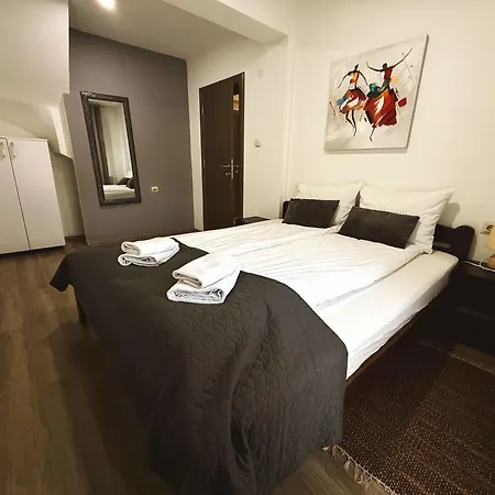 Velickovic Сокобаня