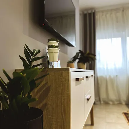 Апартаменты Velickovic Сокобаня