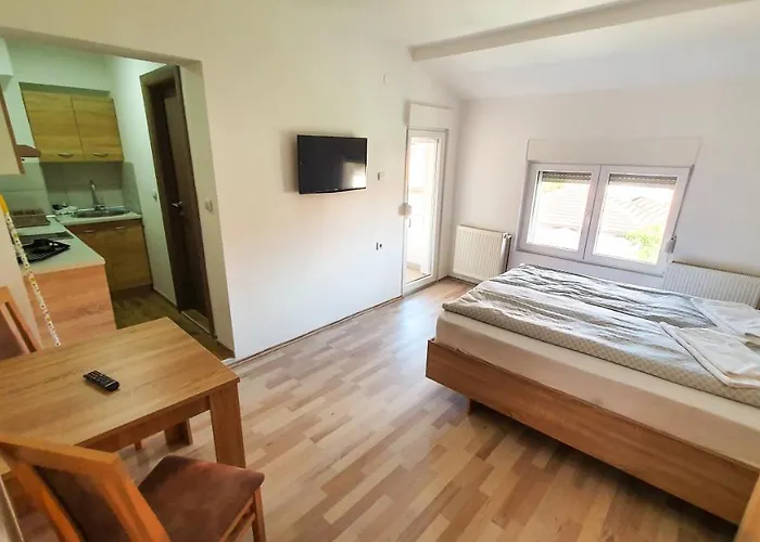Velickovic Apartamento Soko Banja
