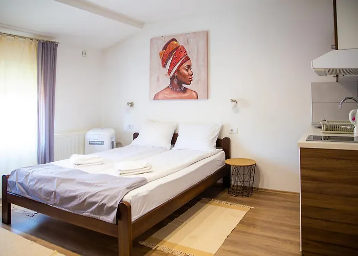 Velickovic Apartamento