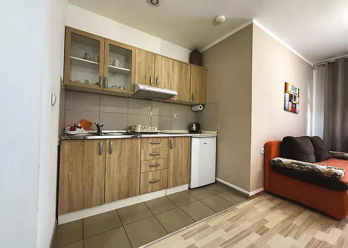 Velickovic Soko Banja