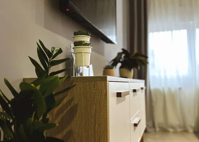 Apartamento Velickovic Soko Banja